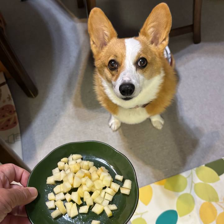 D7b402ff 5731 4707 940e 432790a9fc95 1761059868587