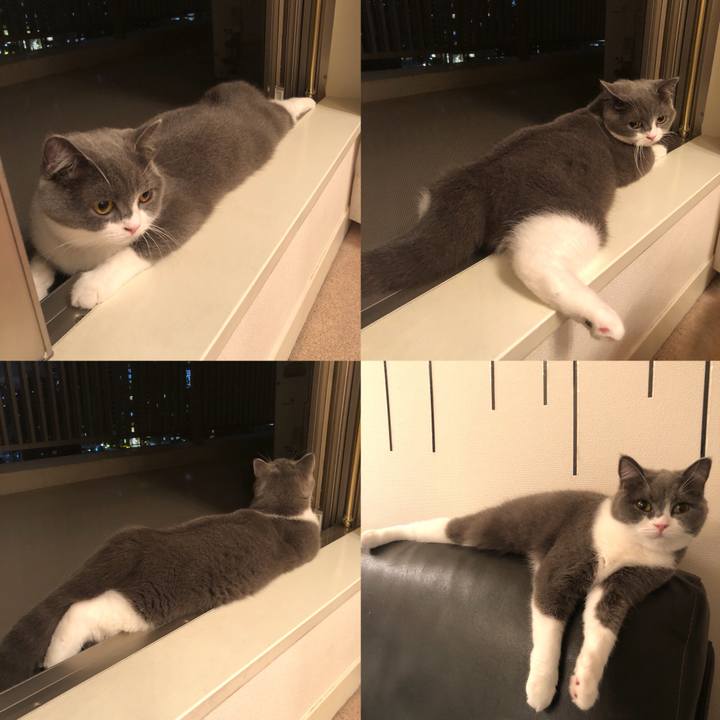 D7b45a30 cd31 462a 990b 78155c0754d6 1537890177925