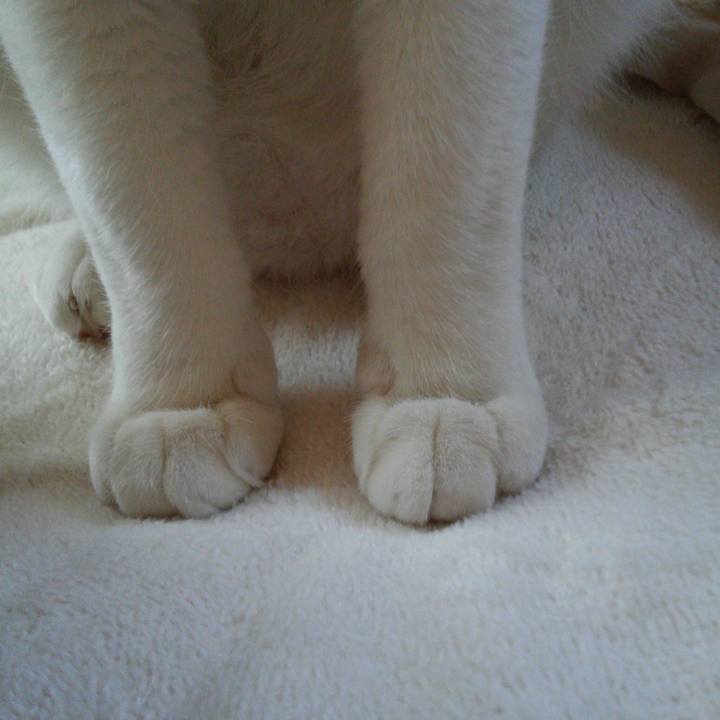 D7b48564 3032 4a41 b750 ccc701cbeb14 1524347696540