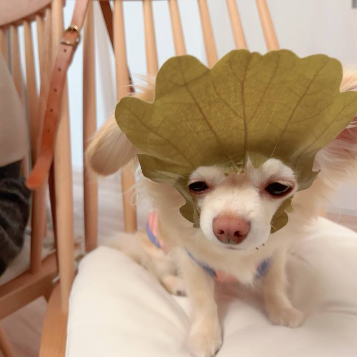 D7b4c5e3 db9f 4154 9b1a 4e6aef46a0e5 1714034985250