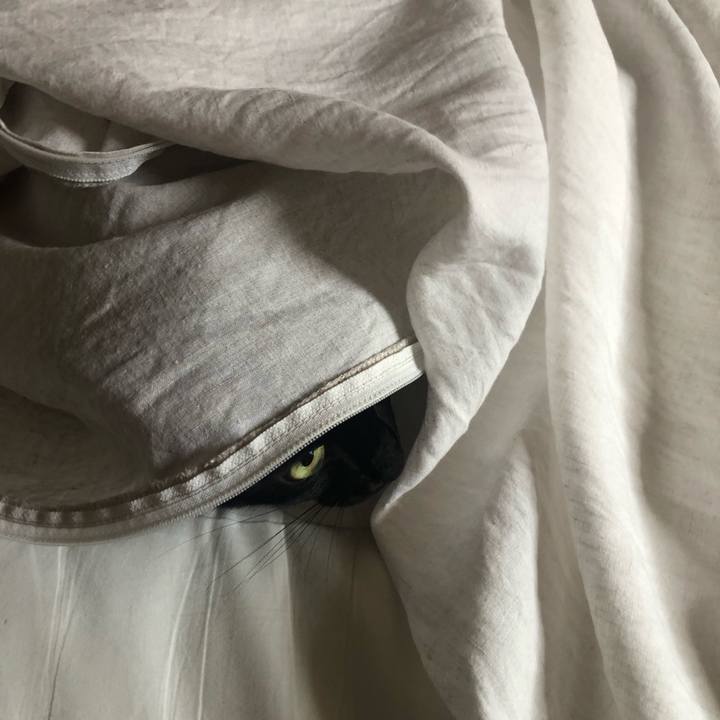 D7b4df1a ffbb 4406 8580 0236485f140f 1598654512758