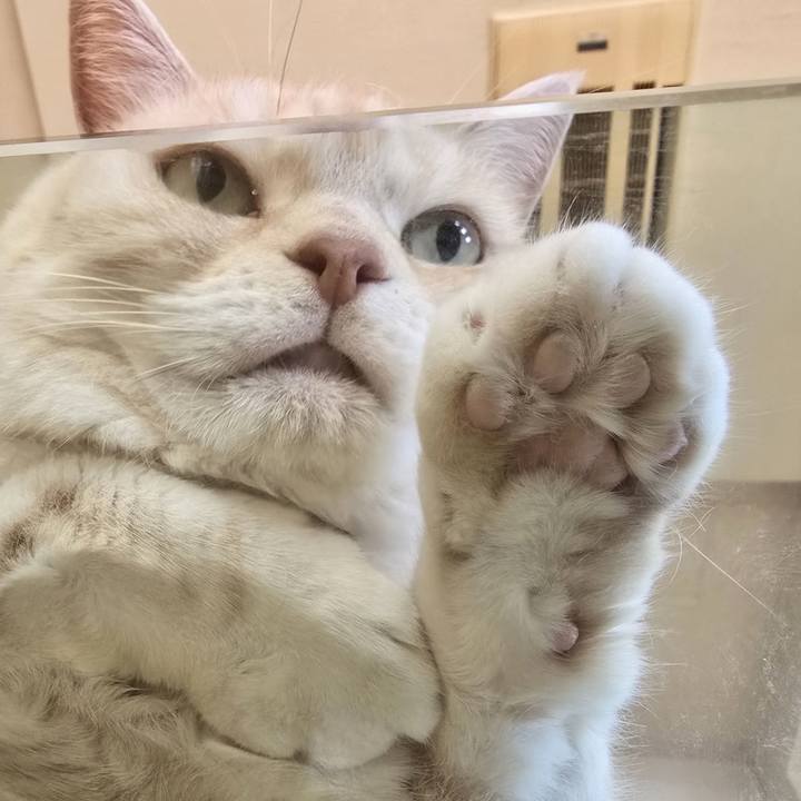 D7b509e8 abd9 4287 8564 e41c94c9e8f6 1751496574451