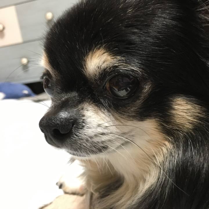 D7b53f5d ab87 4845 8a71 34e3ff230dfb 1538553182349