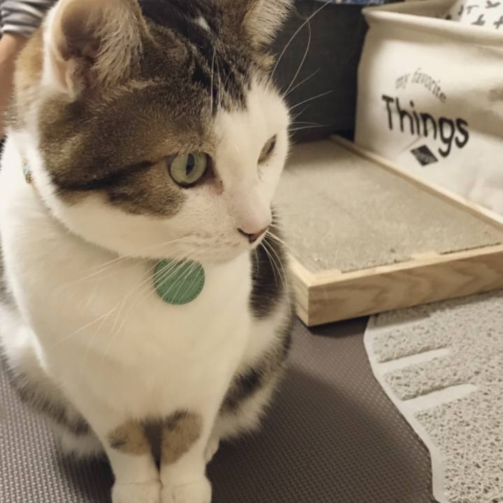 D7b56d7a a6b4 46b3 9ec9 acd96e865d2b 1544771392607