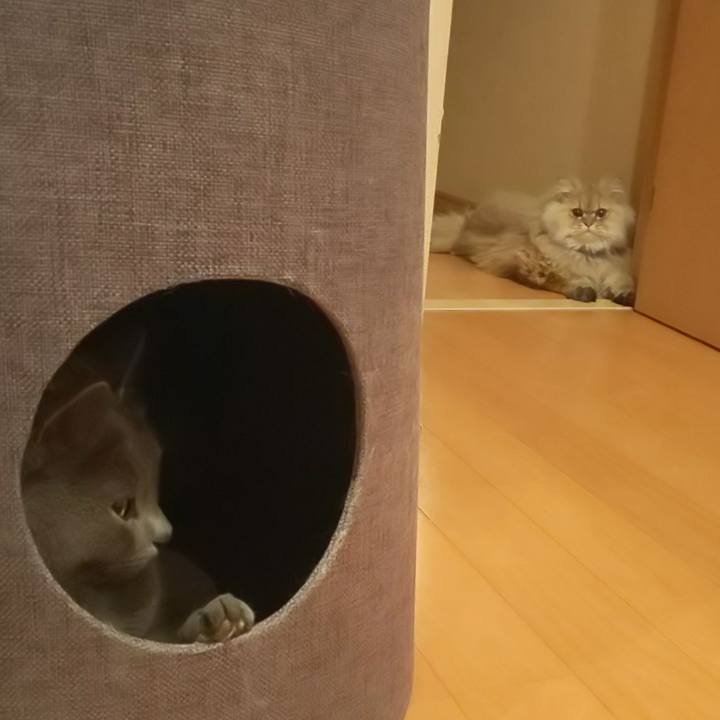 D7b57445 e0eb 4590 82c5 dd75293d972e 1583134116860