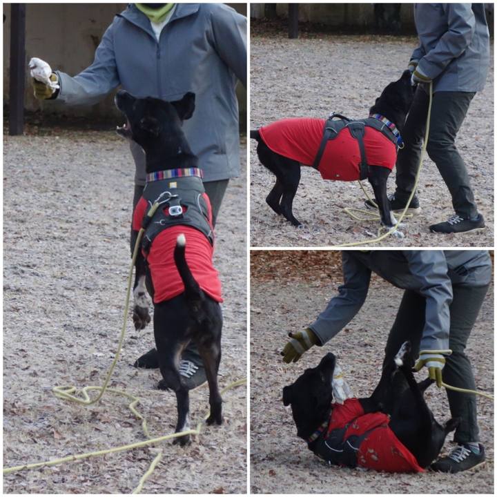 D7b5aa80 4fa9 49fb 96ae 8bad6709cf70 1642382354898