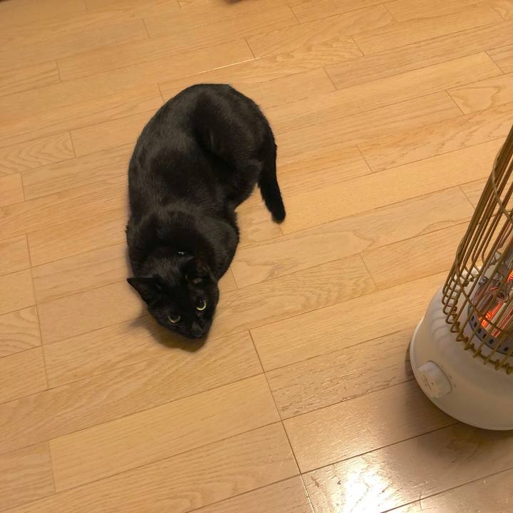 D7b5c7e8 772a 459c 8a78 12ae0770c2a8 1574857836373