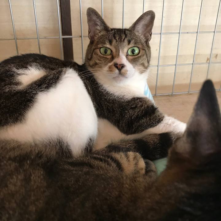 D7b5d6b3 339a 47a7 a9b2 7f4968f28455 1532649024258