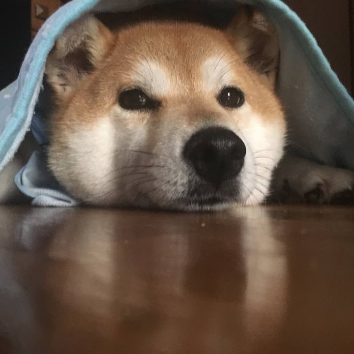 D7b66eaf 94d3 477e 9123 60ad2c551cc5 1565760823036