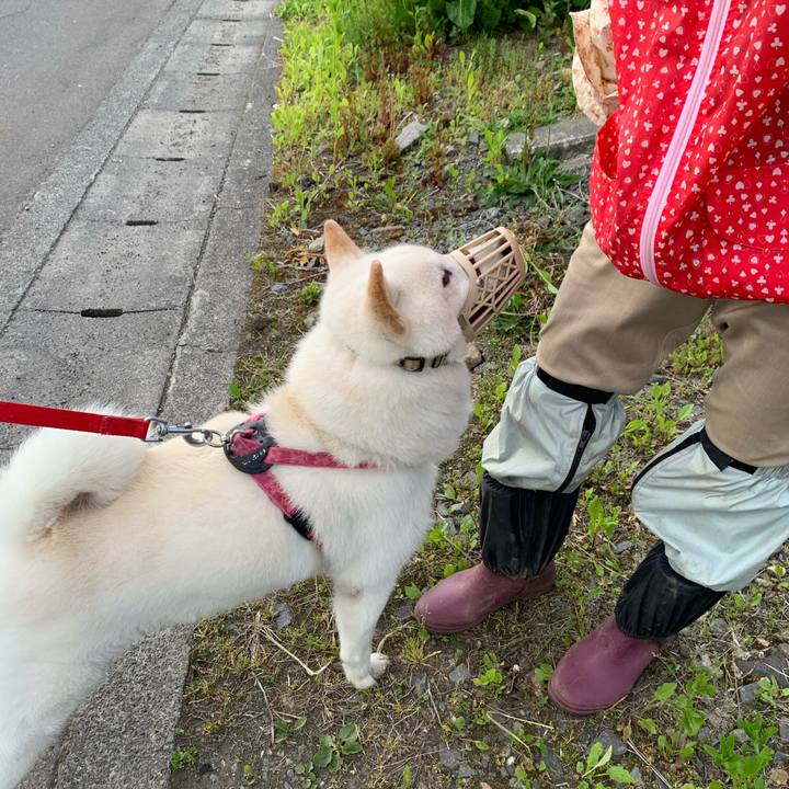 D7b6d20b 1017 4447 93b6 978d81236981 1591128325215