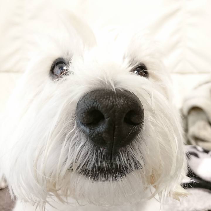 D7b6ddf3 e890 4051 b236 1e2758e2972d 1523893801594