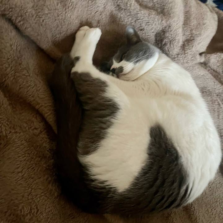 D7b6eb2e 456a 4be7 8e89 b657ebbb4b6c 1681282567839