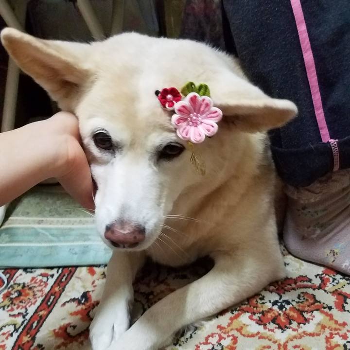 D7b6f482 cfd7 4d00 8797 ebe5d45dd4d9 1581488298888