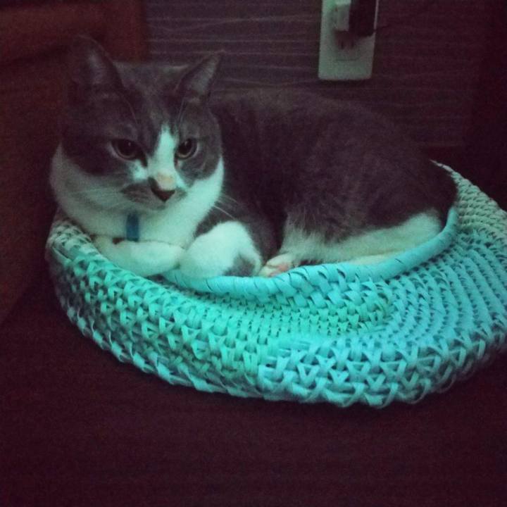 D7b6f789 ad9b 4cc6 8ed2 b14b46cd2c51 1635889221067