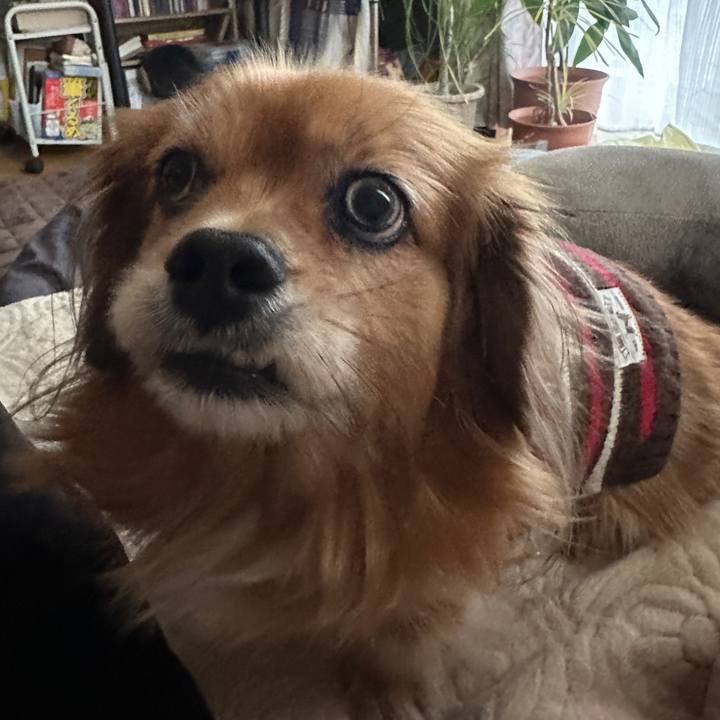 D7b70593 4381 4885 9867 198f5650c976 1733533260167