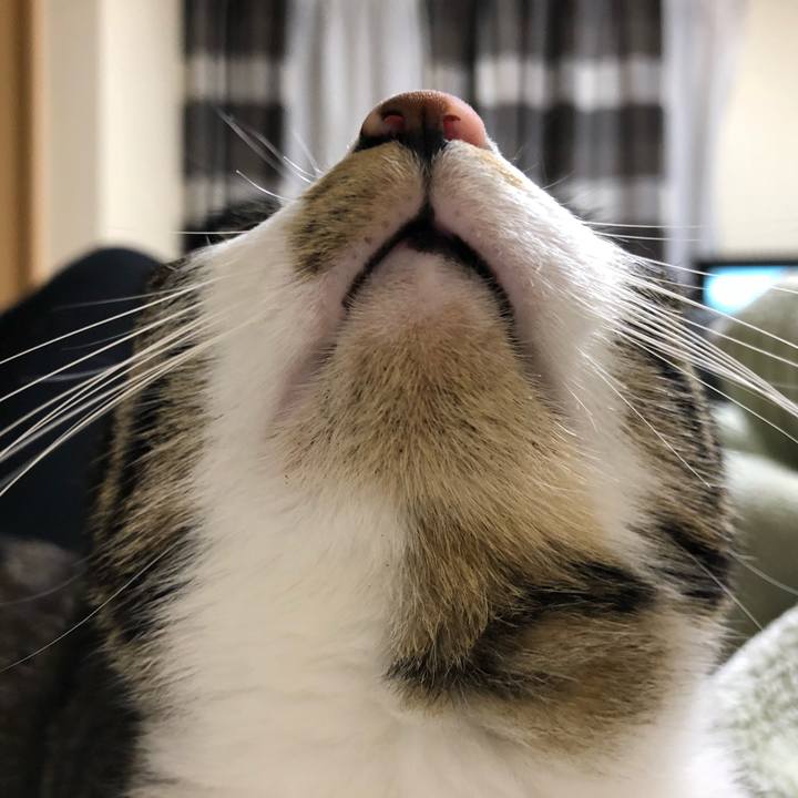 D7b70ead 6eef 4a43 8462 c68700bcd9c7 1523853509537