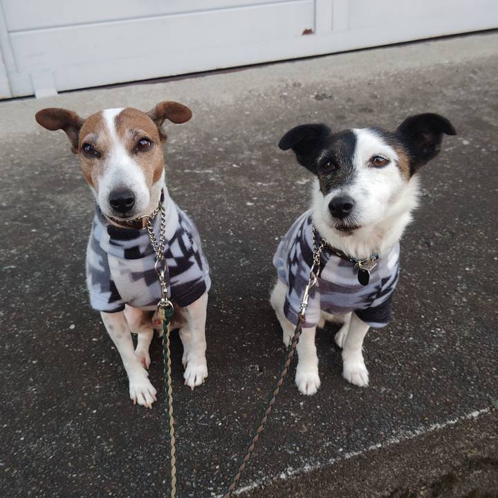 D7b72d30 368c 4b78 b86f 3c3766810639 1765836800301