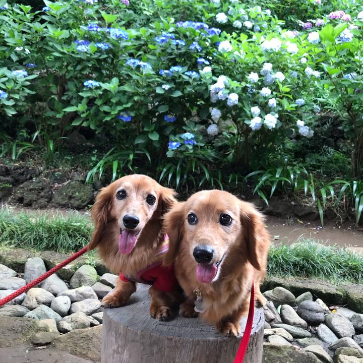 D7b7303d f79c 4cd9 b302 33aa34320af6 1592989676047