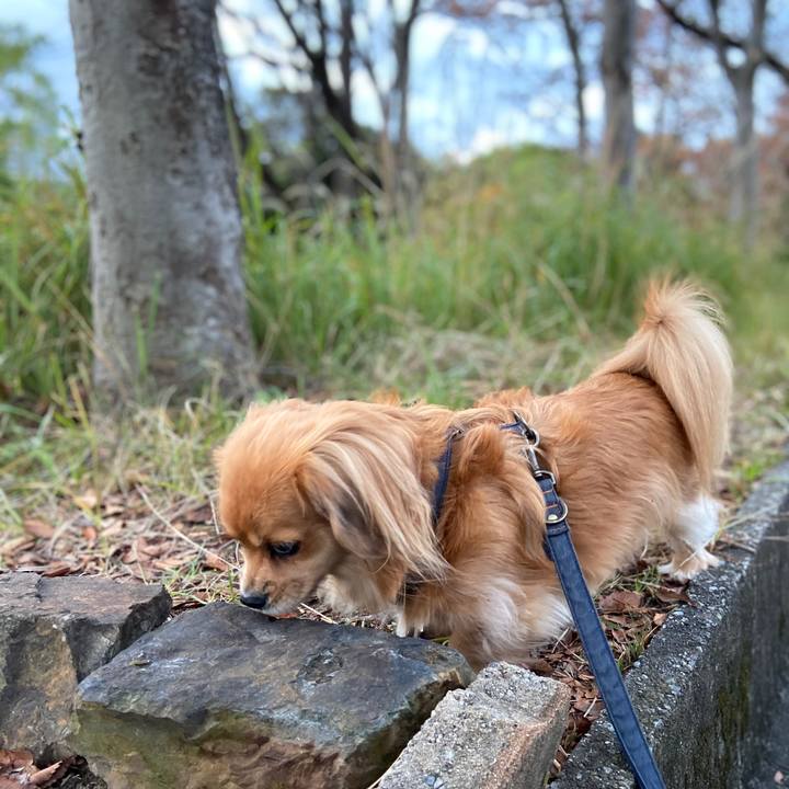 D7b761ac 895a 448a 86d2 d35742bca96b 1573596016260