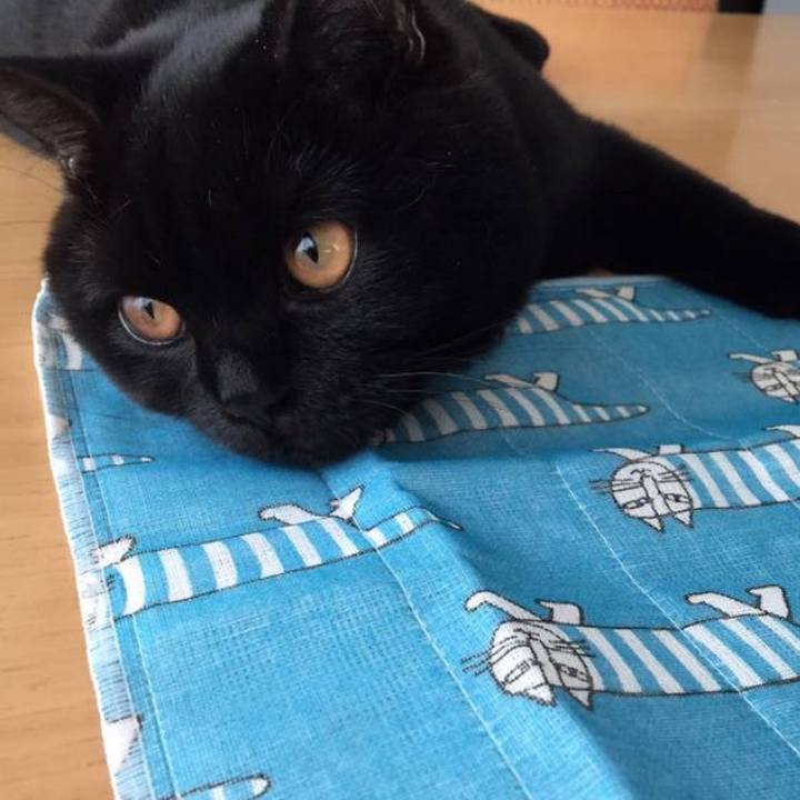 D7b76644 cfab 463f b51f 3aa9a5954188 1711977520808