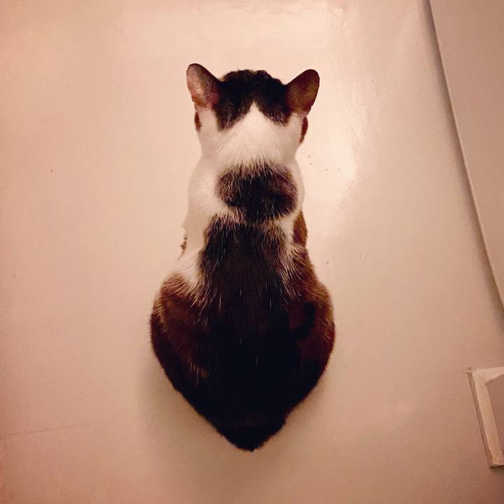 D7b78f77 898f 4fb4 85a1 2f0d5eea3737 1594638401895