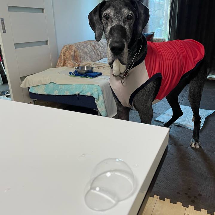 D7b79594 5ccf 4911 b292 0caad7324224 1658701845312