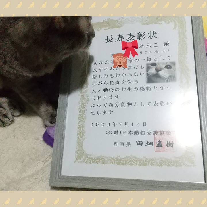 D7b7a802 1439 4c6d 9032 bd29ec261bc4 1698492041117