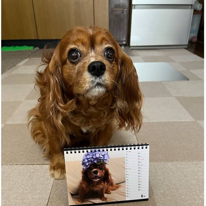 D7b7d963 de6d 4af4 a71d 672d297a4b10 1654034129251