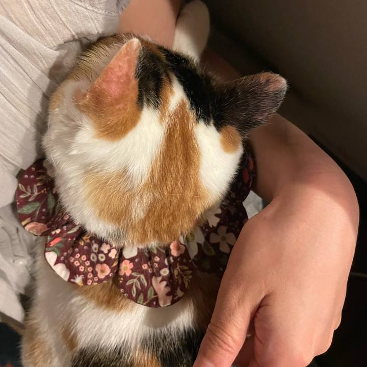 D7b7ed93 96c4 4ac6 8b1b 105094b0afb7 1756735475545