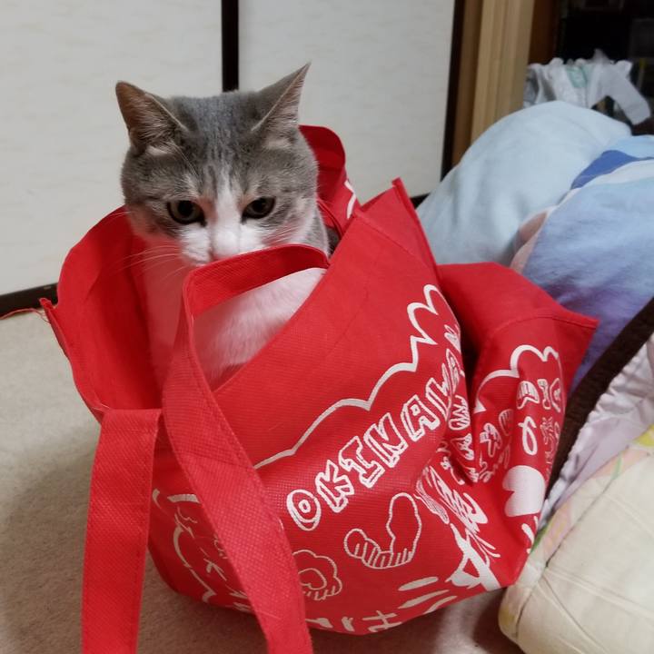 D7b7f012 9b05 4525 8eac 52726f7882ed 1525607553911