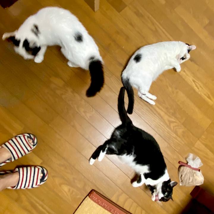 D7b803b5 46cb 48c2 ae3a 8ed04faeeb8c 1626648511643