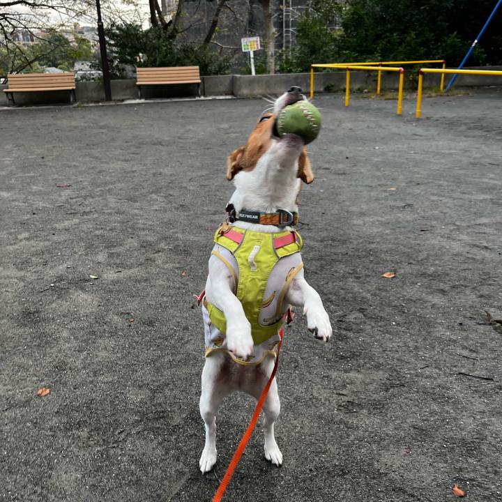 D7b81834 7a51 47b1 ae53 3196e8efb2ef 1729827607056