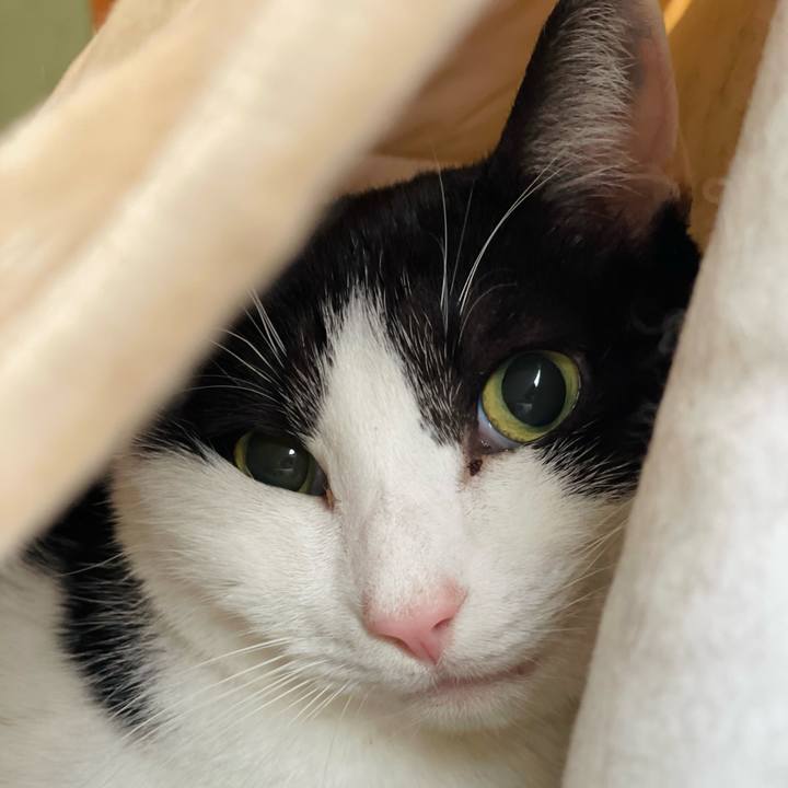 D7b841d6 d0fd 4c1f b537 295350897464 1639790812828