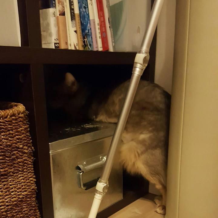 D7b86603 6207 4666 b09e e6b13c0ccae2 1554362986015