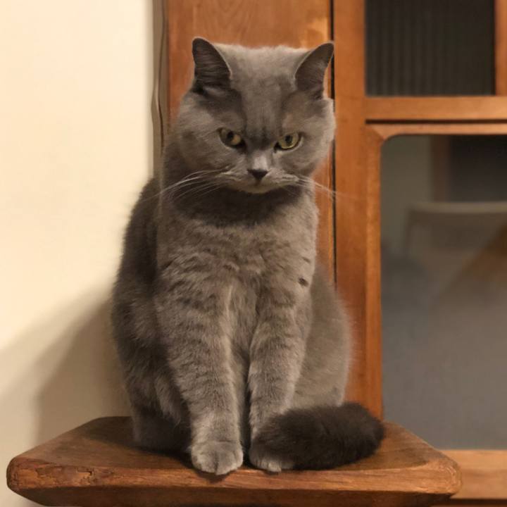 D7b86987 2331 480d a489 9a00b0c708f8 1617670799566