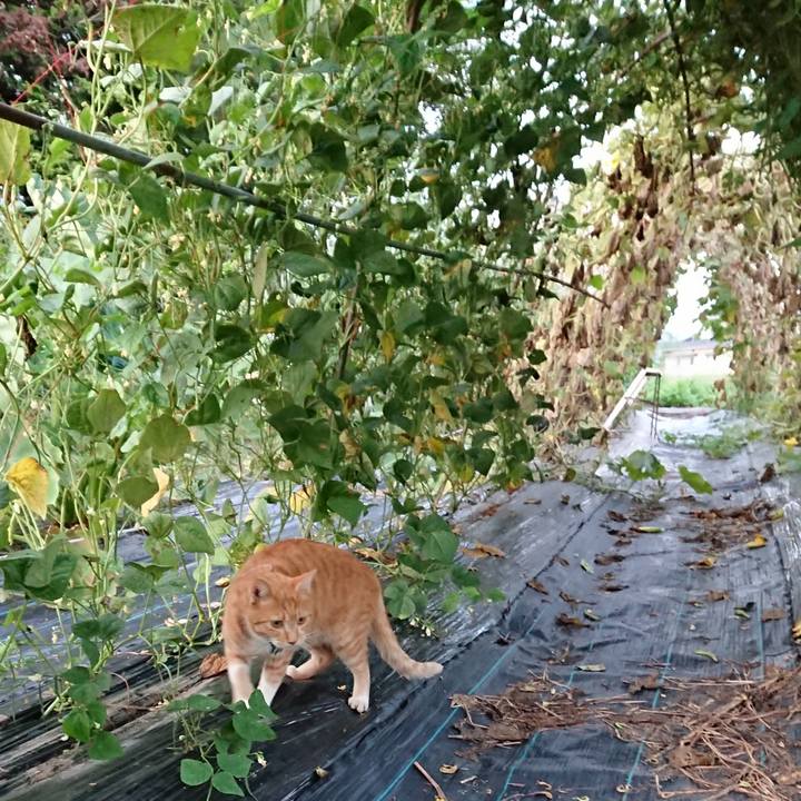 D7b896c4 4192 4c49 8b01 4c8ee8fb2e32 1567588407827