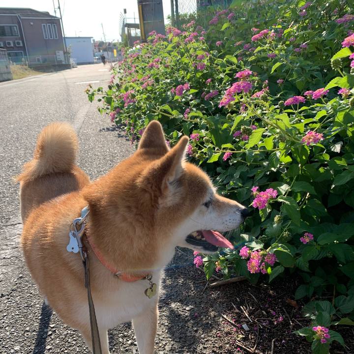 D7b8ae6f 65c1 4344 9db7 166c84225ec7 1571701195109