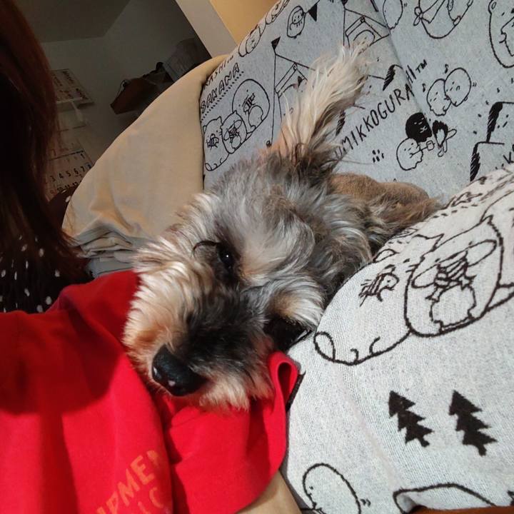 D7b8b51a ac43 4363 92ca c368c5729c58 1690096339039