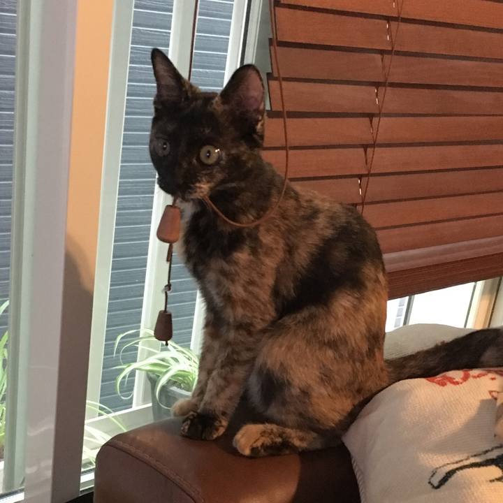 D7b8dfd9 e29e 4c70 82b7 248c73b12aa9 1568351000130