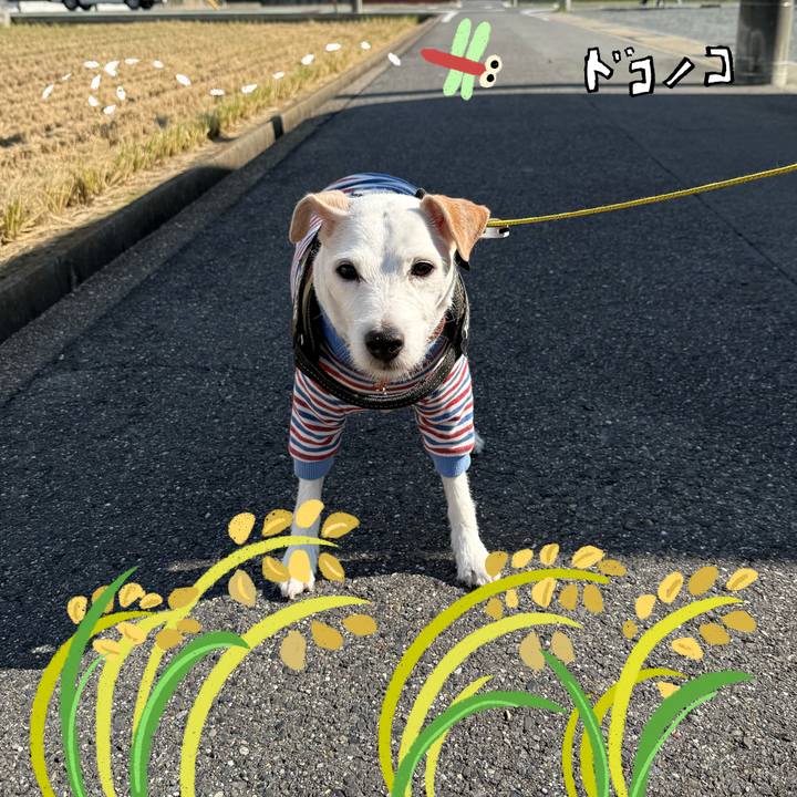 D7b8ee74 73d0 4bf6 9b30 b9c4c277e523 1761795633849