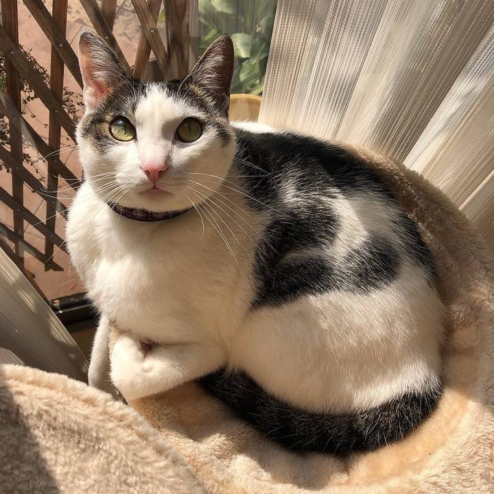 D7b8f360 38d5 4de6 9e8c a02dbbedf773 1642059819857