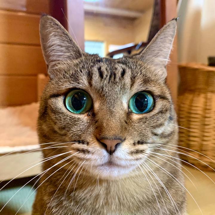 D7b908af c264 4705 b33a acc544ea15a1 1585397491792