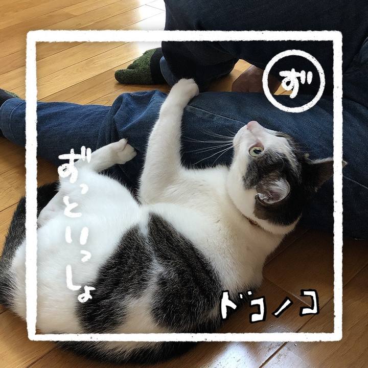 D7b94232 5e45 4c58 996f dad2836334da 1685969958531