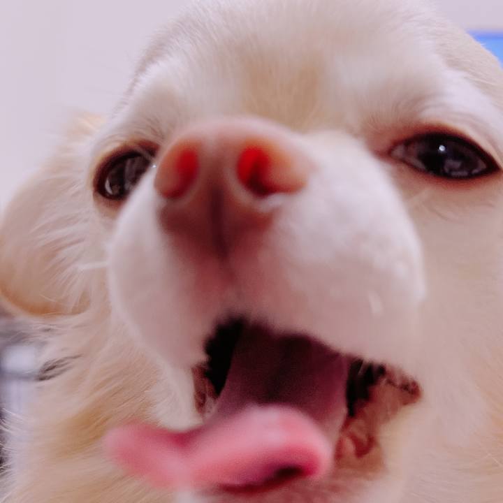 D7b94c44 ff8b 47b5 9e5c 79c45705f5c4 1682497295173