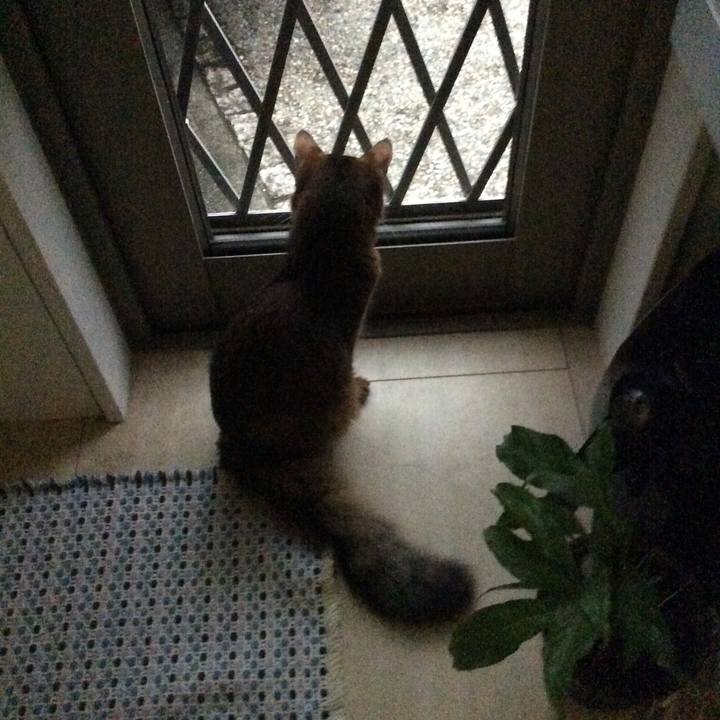 D7b94cf7 1492 4354 8087 349522550287 1568199844778