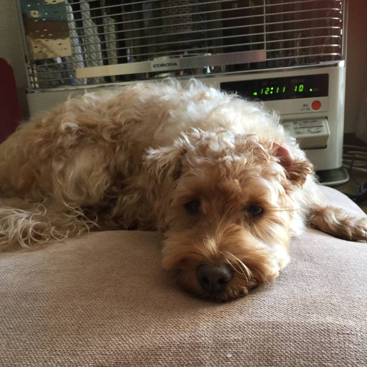 D7b97c14 8206 47f7 865a cac4d1d89964 1514002794060