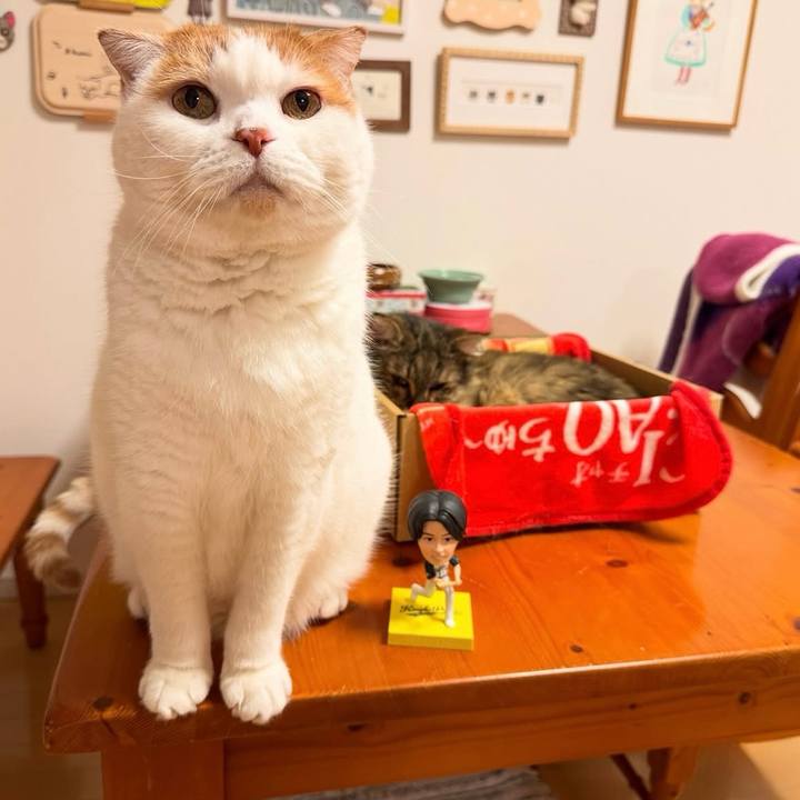 D7b9aecf ef14 4ef3 bfbc d6b5ed62d5a1 1766983379945