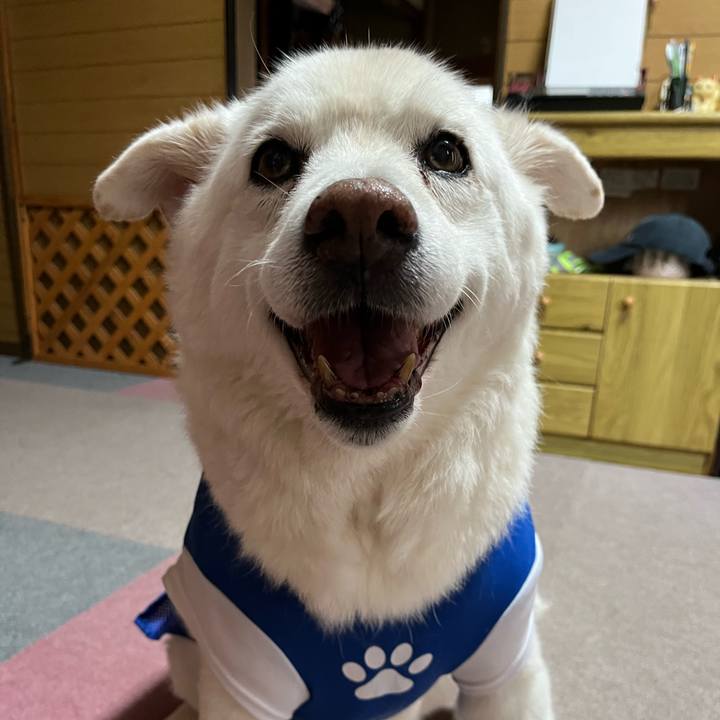 D7b9b5b9 3427 4926 ac4c 8d19944d9111 1759966228780