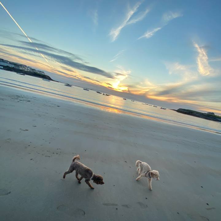 D7b9cfb8 a106 432d 8dda 6b6ce1498408 1659257288288