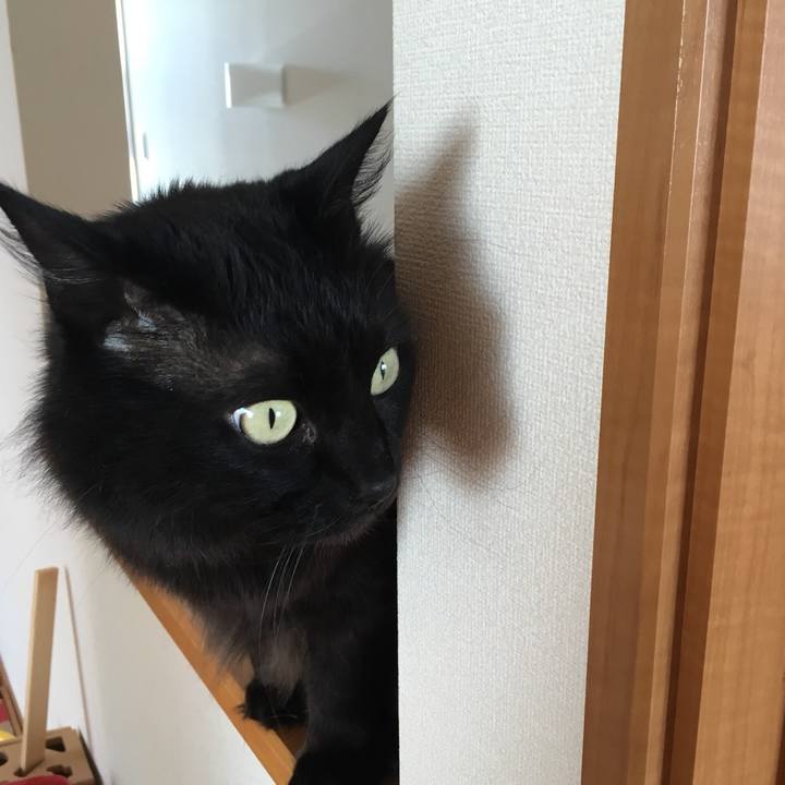 D7b9f04d 56fa 49cf a54b 05fcedaf9904 1517028599966